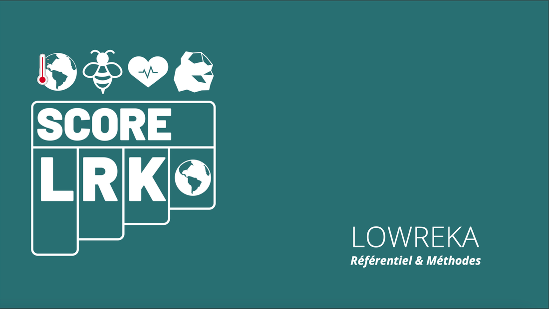 🎉 Joyeux 1er Anniversaire du Comité d'Experts ACV Lowreka ! 🎂 - Lowreka
