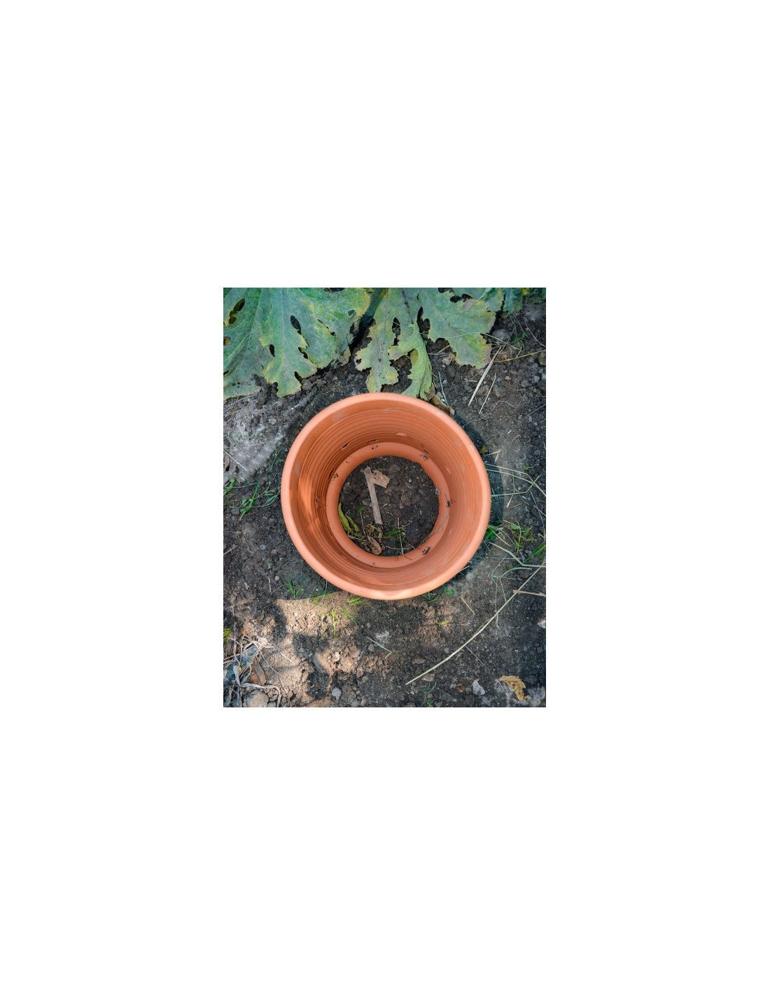  - Composteur extérieur de balcon taille M - Lowreka