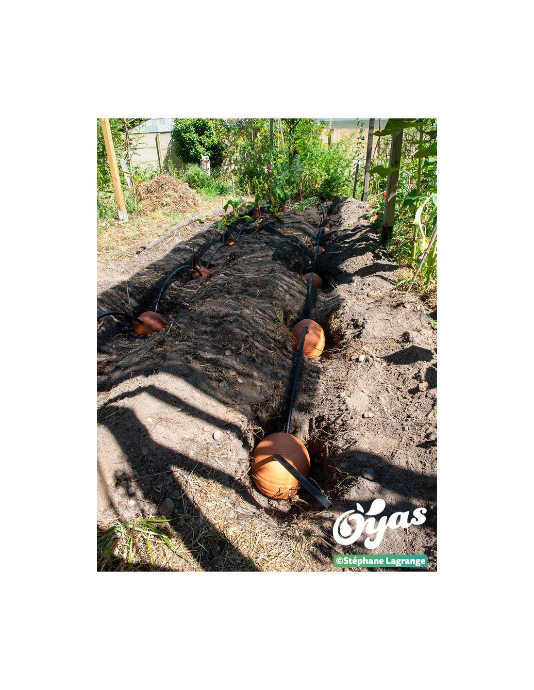  - Kit tout équipé 8 Guirland - Oyas® - Taille L - Lowreka