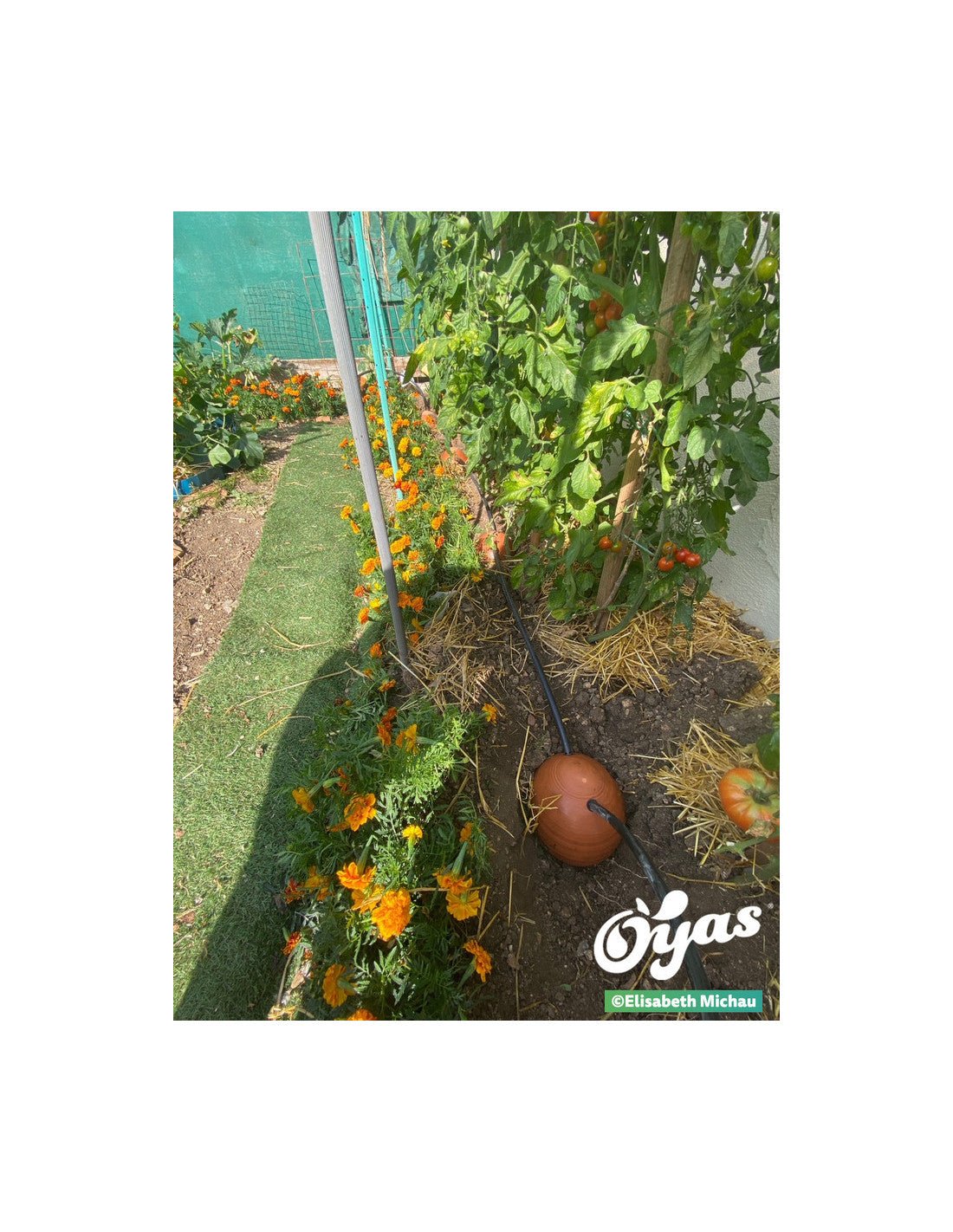  - Kit tout équipé 8 Guirland - Oyas® - Taille L - Lowreka