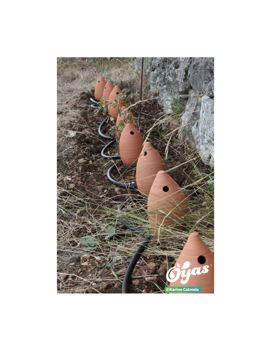  - Kit tout équipé 8 Guirland - Oyas® - Taille M - Lowreka