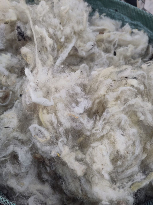  - Laine de mouton lavée pour isolation marmite norvégienne - 500g - Lowreka