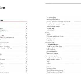  - Livre : Cuisiner sans gaz ni électricité - Lowreka