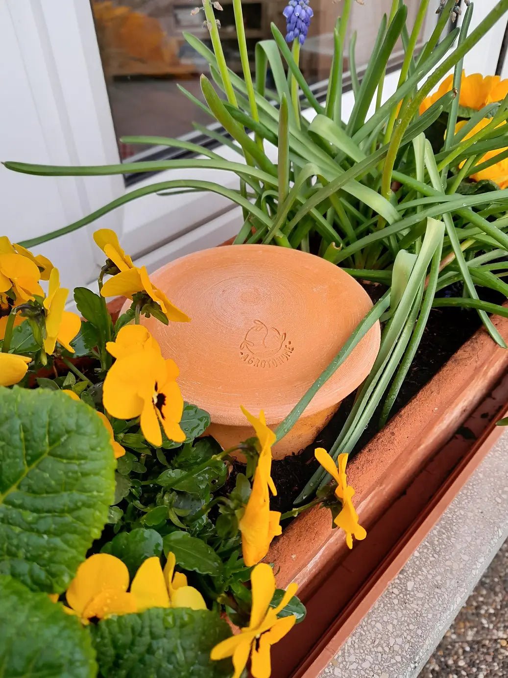  - Lombricomposteur à enterrer - Compostino® tube pour les mini pots 1,5L - Lowreka