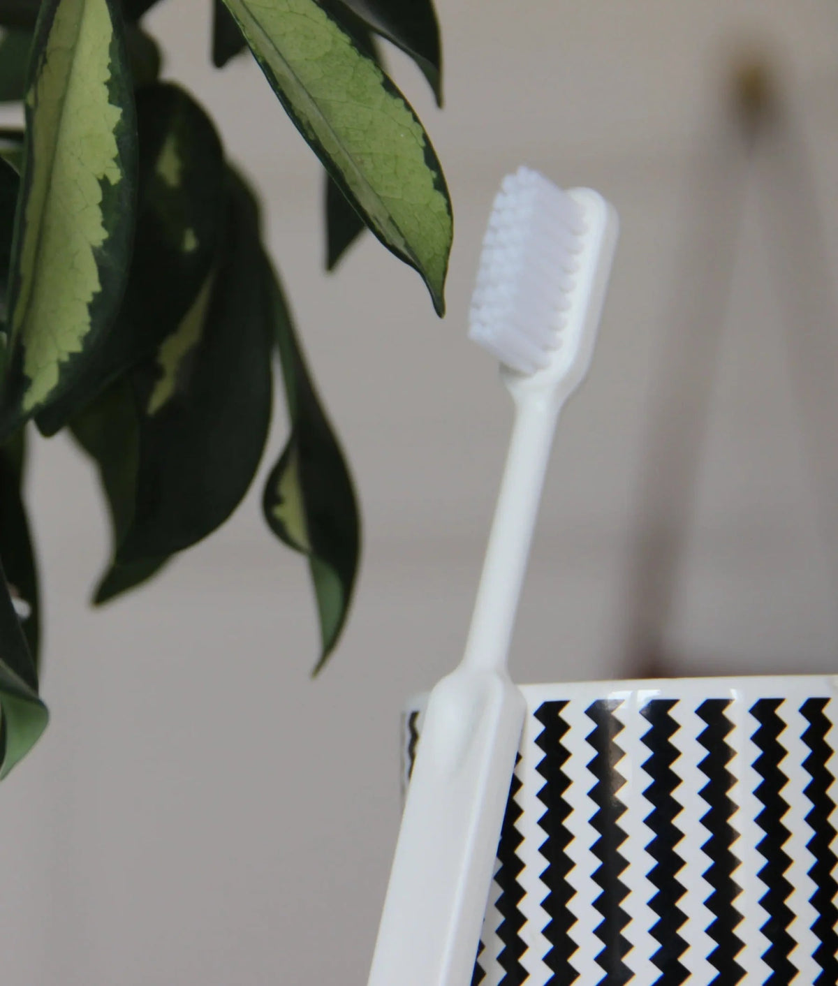  - Lot de 4 brosses à dent rechargeables pour adulte en bioplastique végétal - Lowreka