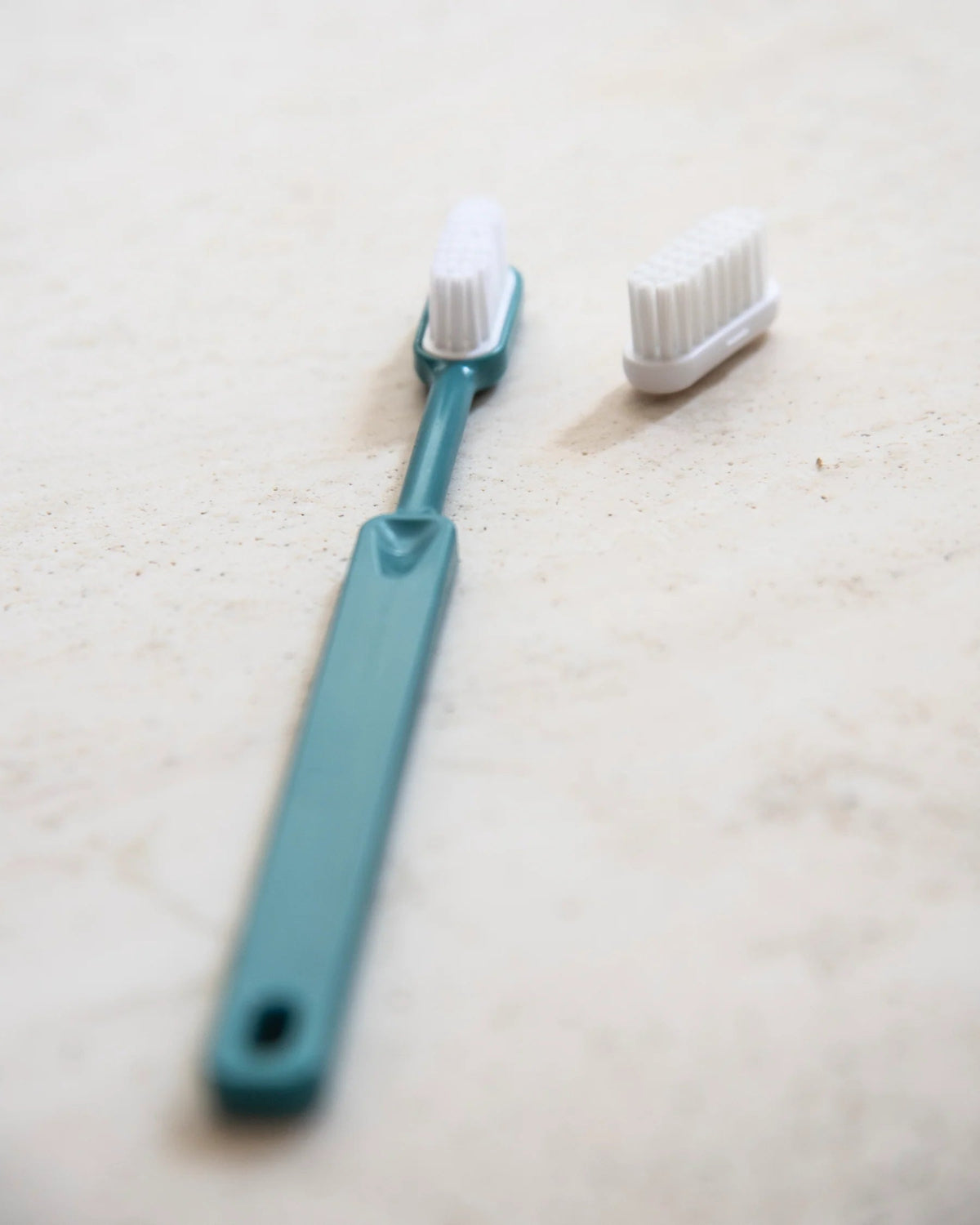  - Lot de 4 brosses à dent rechargeables pour adulte en bioplastique végétal - Lowreka