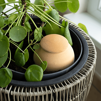  - Olla à planter 50cl brut - Lowreka
