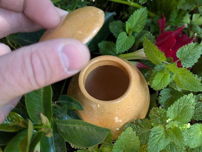  - Olla à planter 50cl translucide - Lowreka