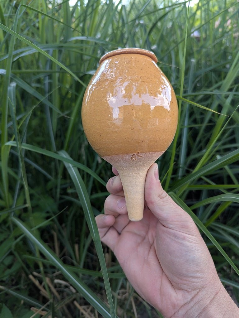  - Olla à planter 50cl translucide - Lowreka