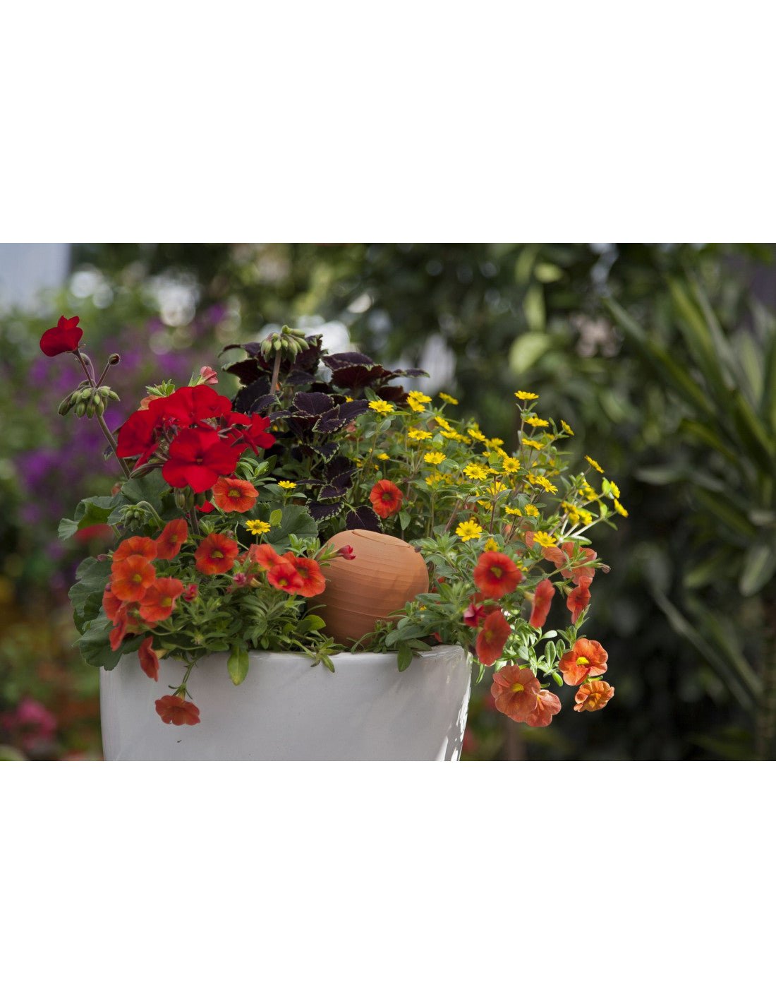 - Oyas® à planter - format S - Lowreka