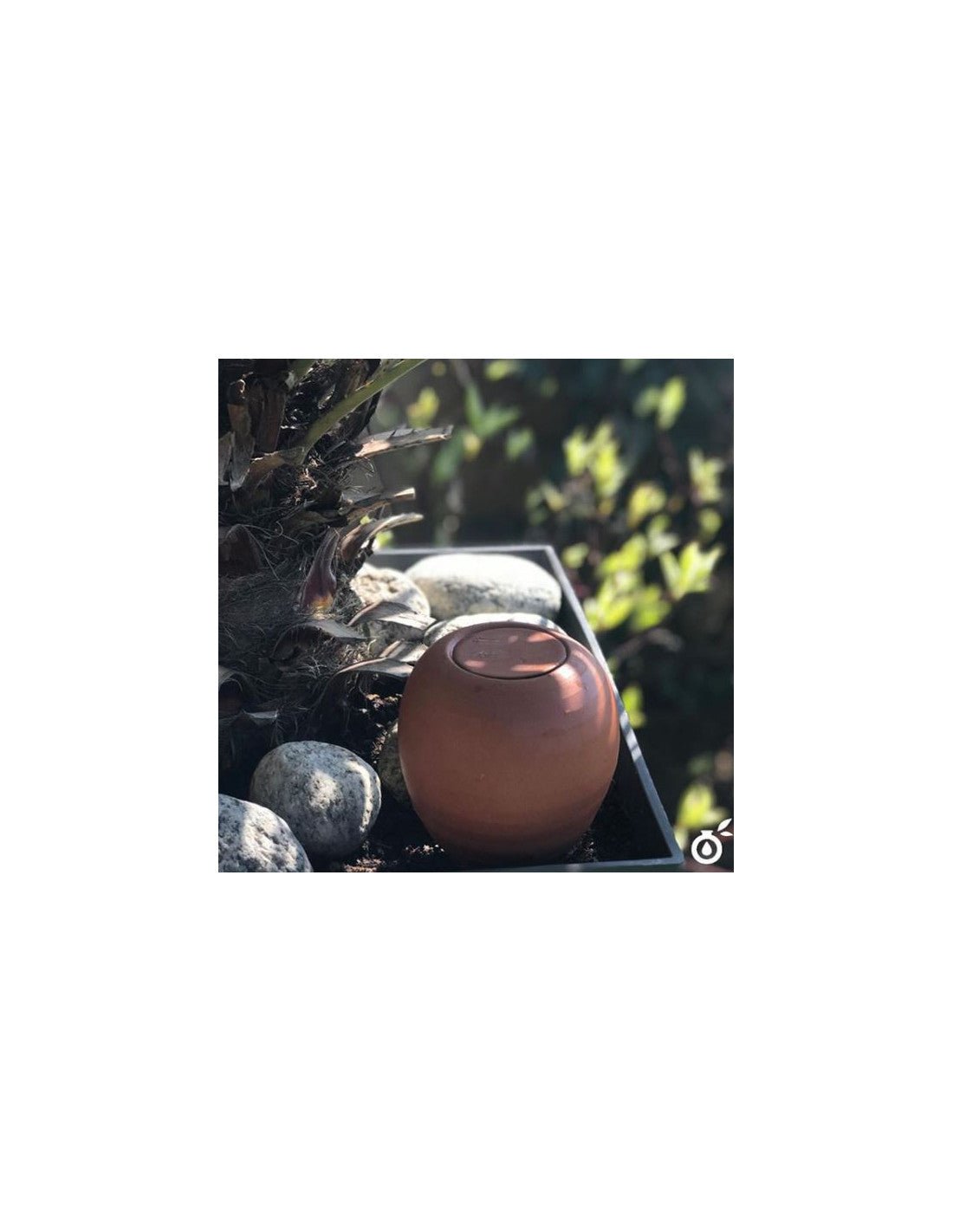  - Oyas® à planter - format S - Lowreka