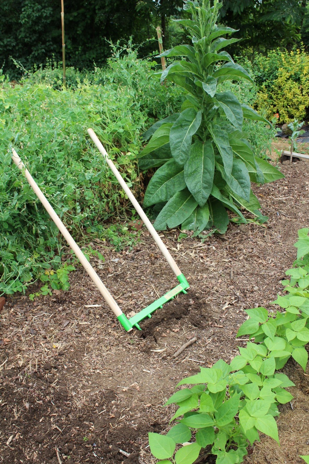 Physical - Odinette pour décompacter, aérer et structurer le sol sans effort - Lowreka